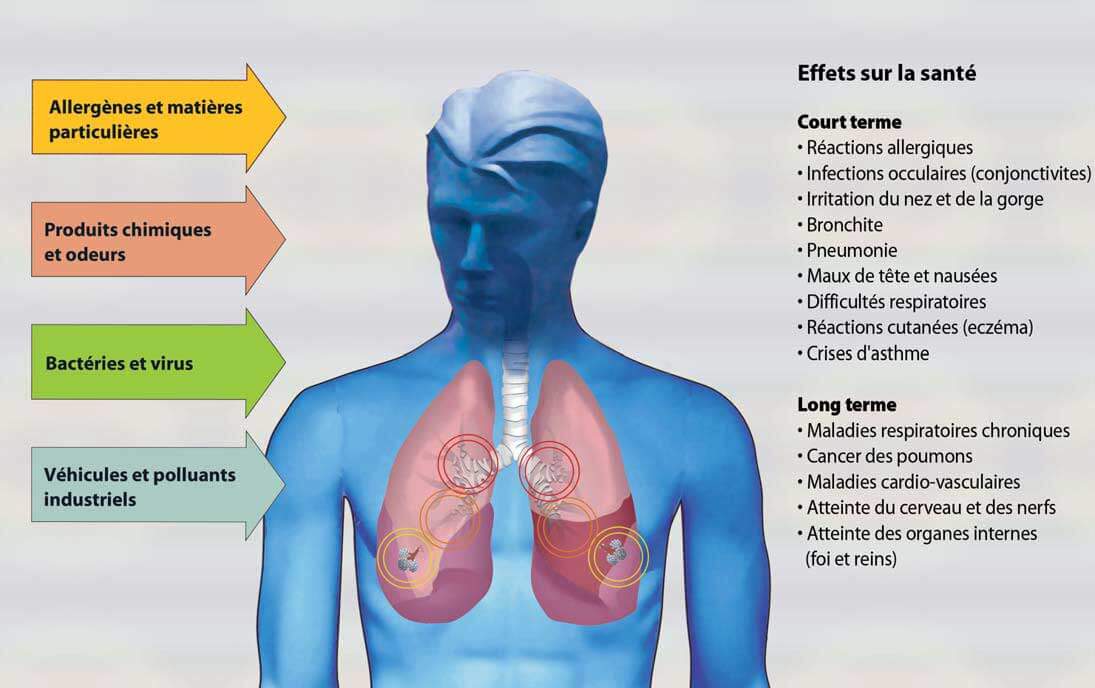 Les Effets Du Pollen Sur La Santé – SFSPF